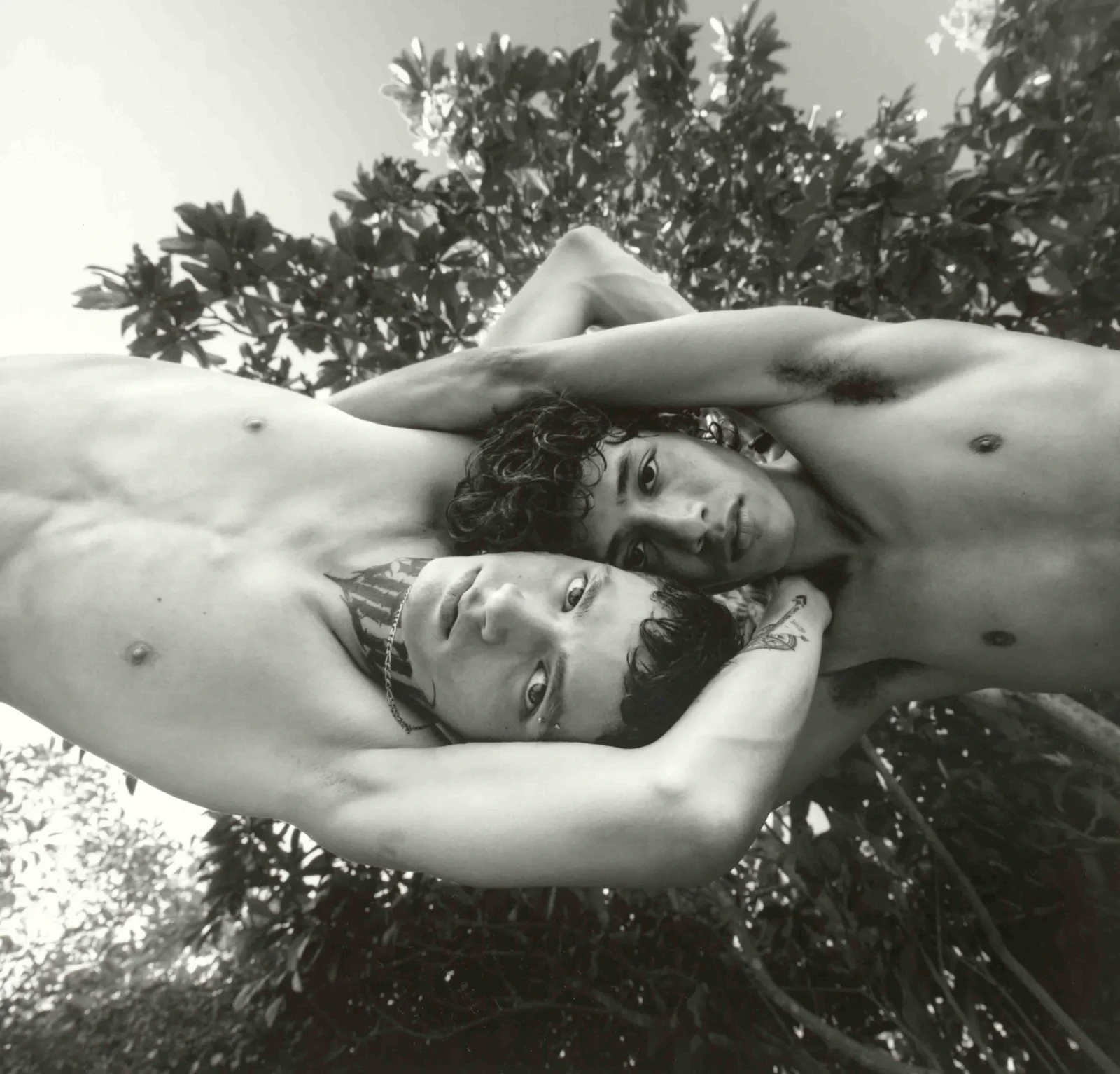 Imagen de Igor Mattio