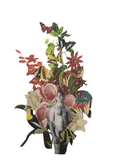 Having it all doesn't make you happy necessarily