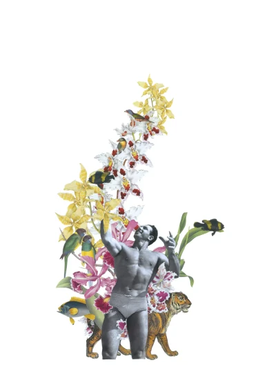 I try to be complete but I am failing all the time