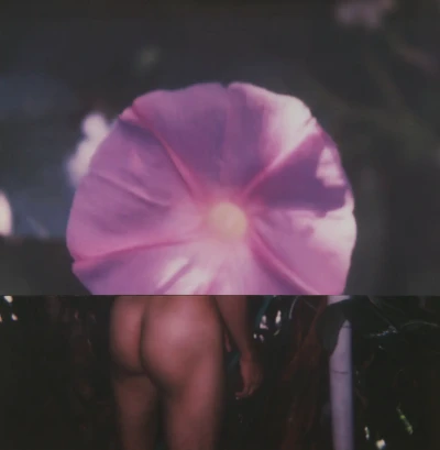 Polaroid Collage XIX