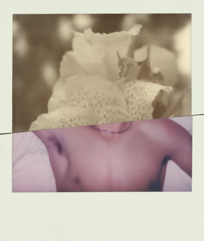 Polaroid Collage XIX - LA/CDMX