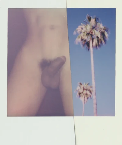 Polaroid Collage VII