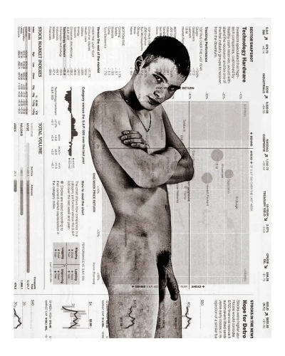 Stock Boyz. Technology Hardware