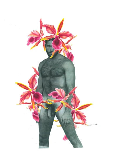 Orchid