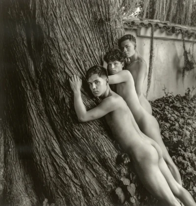 David, Stiven, Andres and the Old Tree