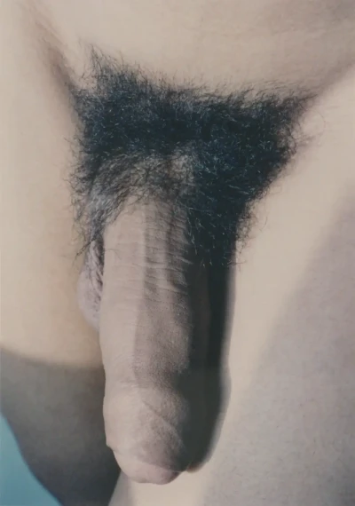 Jonathan Anthology nº24